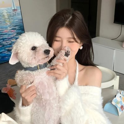 青春之马海报